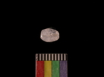 L_V23d4061 A16q176 U818 dM bd f34 .jpg L_V23d4061 A16q176 U818 dM bd f34